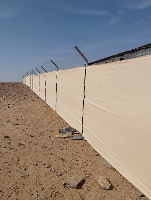 شبوك أغنام عالية الجودة في جيزان