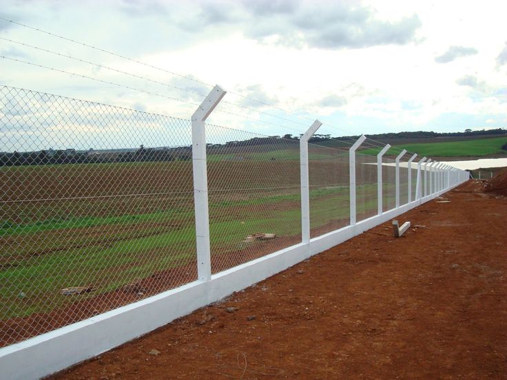 شبوك مزارع تبوك بأفضل الأسعار