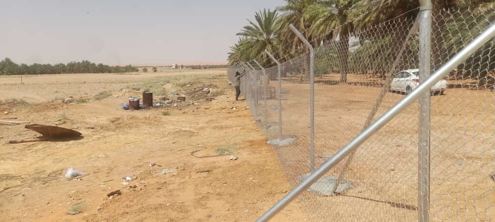 شبوك مزارع عالية الجودة في المدينة